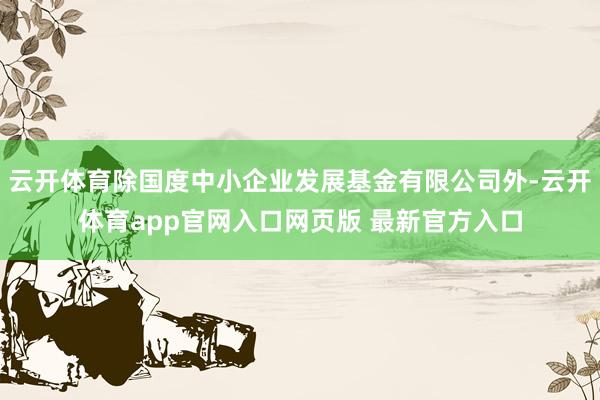 云开体育除国度中小企业发展基金有限公司外-云开体育app官网入口网页版 最新官方入口