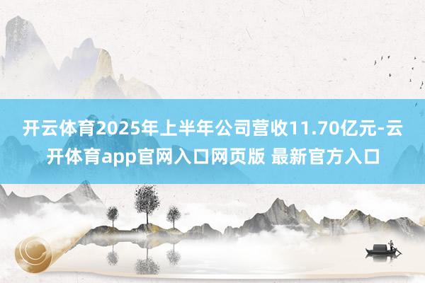 开云体育2025年上半年公司营收11.70亿元-云开体育app官网入口网页版 最新官方入口
