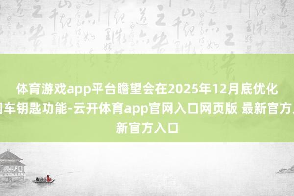 体育游戏app平台瞻望会在2025年12月底优化星闪车钥匙功能-云开体育app官网入口网页版 最新官方入口