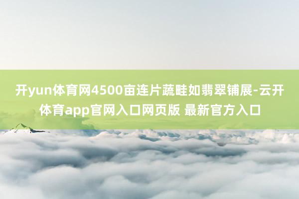 开yun体育网4500亩连片蔬畦如翡翠铺展-云开体育app官网入口网页版 最新官方入口